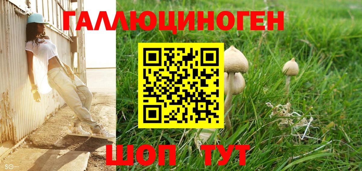 Черняховск  Галлюциногенные грибы Psilocybe  Вход с VPN  Псилоцибиновые грибы Magic Shrooms 